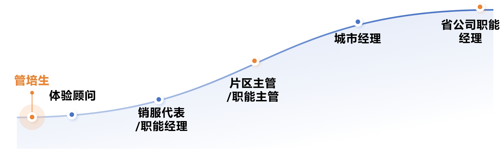 发展路径.png